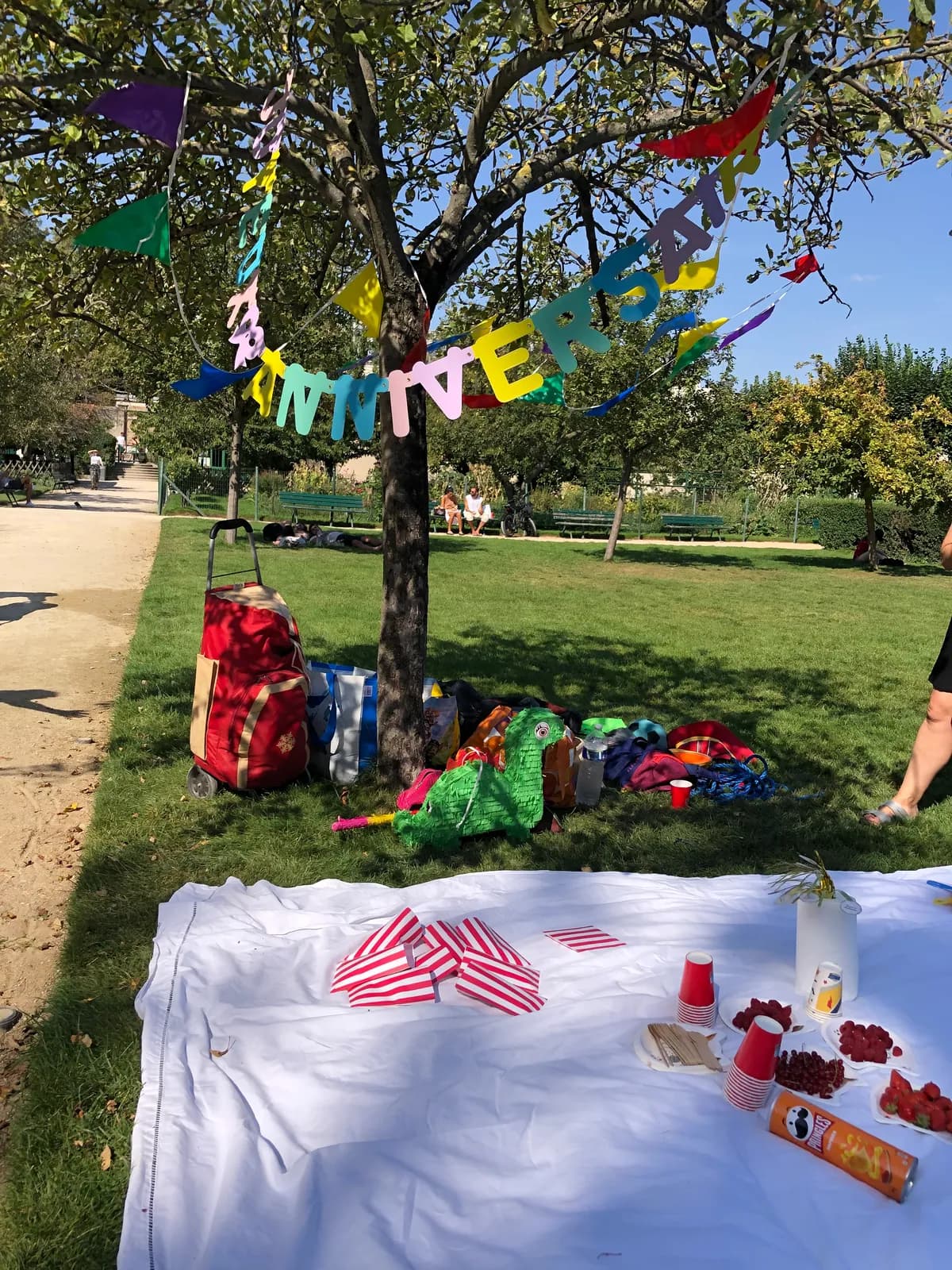 Birthday bunting strung through a tree above a picnic cloth laid out in a park